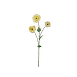 Japansk Ranuncel gul 62 cm