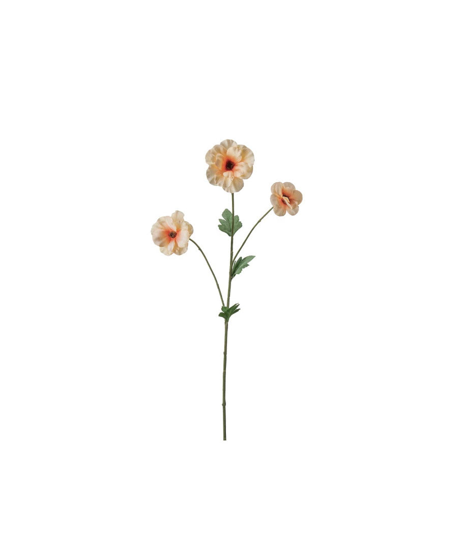 Japansk Ranuncel persika 62 cm