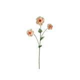 Japansk Ranuncel persika 62 cm