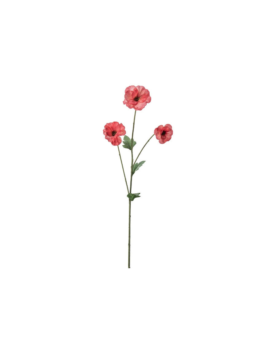 Japansk Ranuncel rosa 62 cm