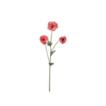 Japansk Ranuncel rosa 62 cm