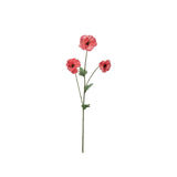 Japansk Ranuncel rosa 62 cm