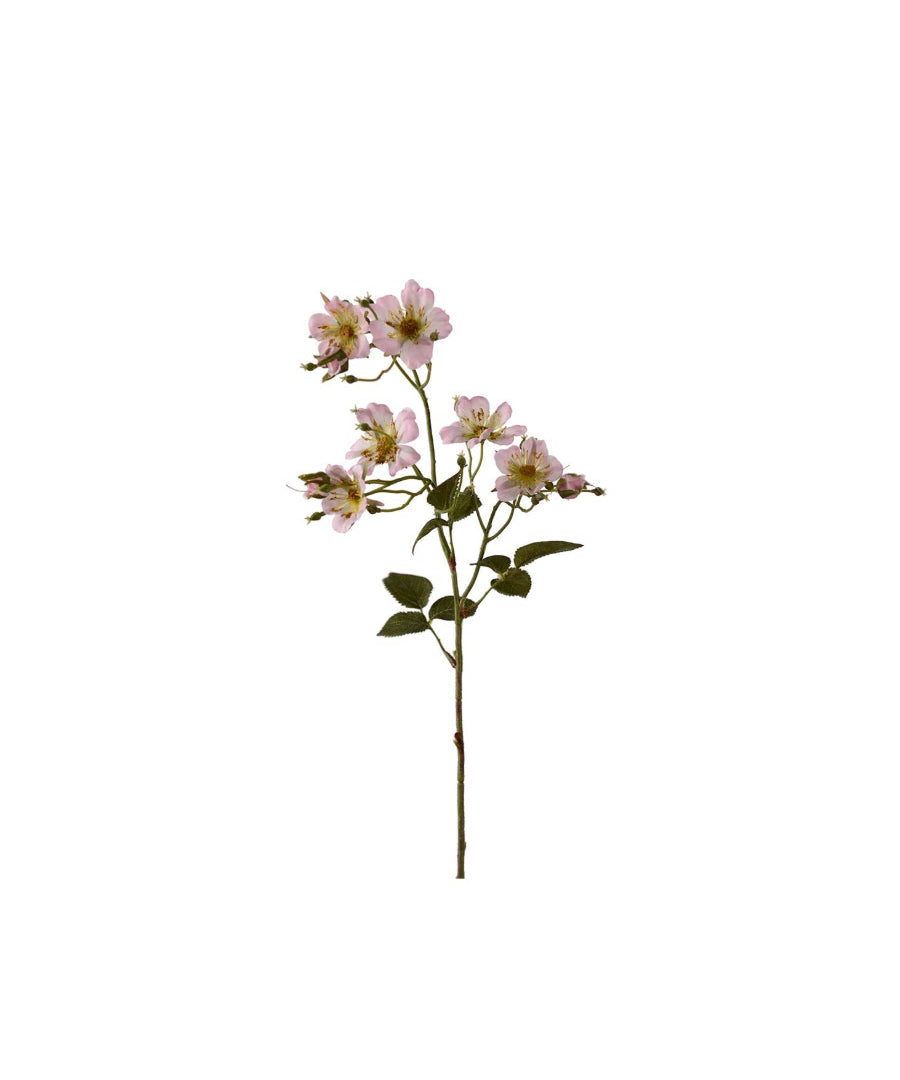 Japansk klätterros rosa 65 cm