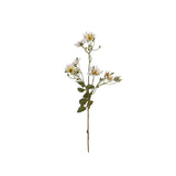 Japansk klätterros vit 65 cm