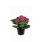 Kalanchoe konstväxt lila 20 cm