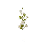 Klätterros snittblomma vit 85 cm