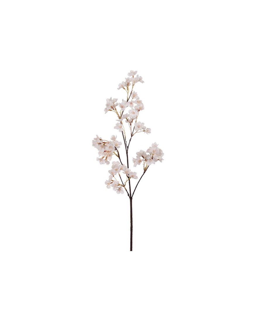 Körsbärsblom vit 90 cm