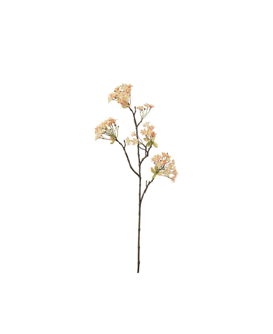 Lönnblomma persika 70 cm