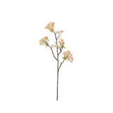 Lönnblomma persika 70 cm