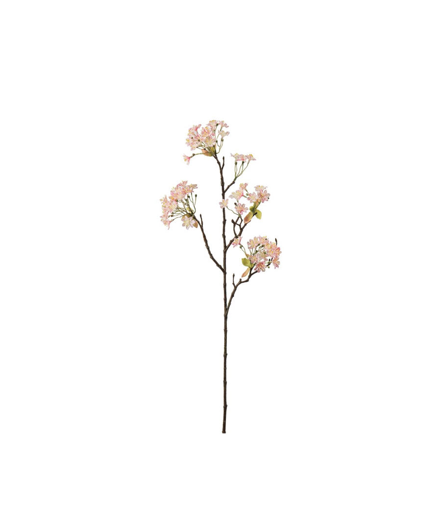 Lönnblomma rosa 70 cm