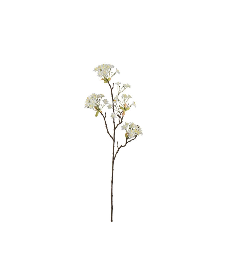Lönnblomma vit 70 cm