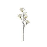 Lönnblomma vit 70 cm