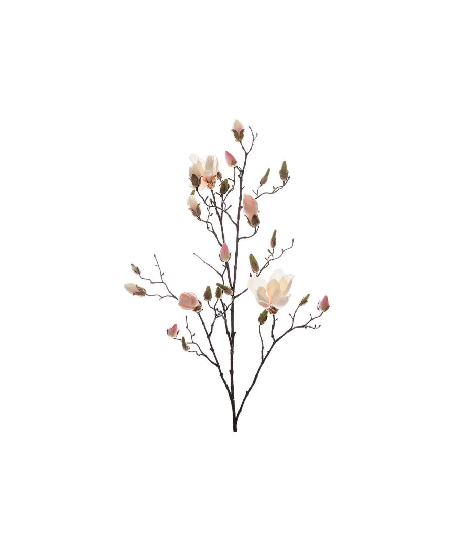 Magnolia snittblomma rosa 110 cm