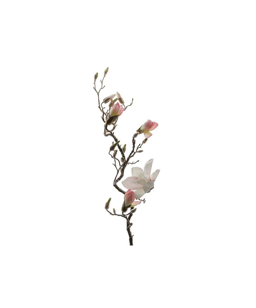 Magnolia snittblomma rosa 135 cm