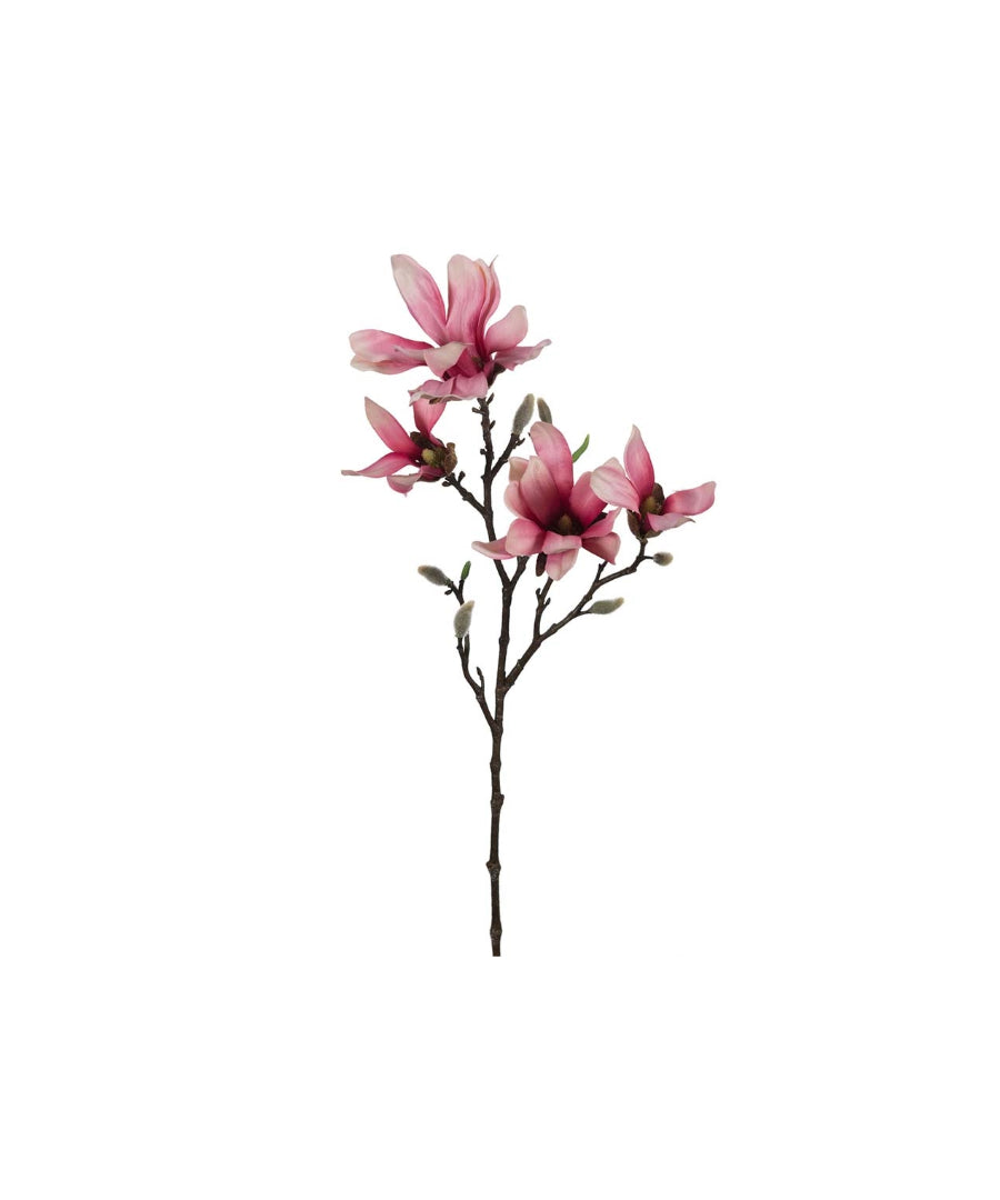Magnolia snittblomma rosa 50 cm