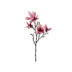 Magnolia snittblomma rosa 50 cm