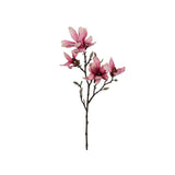 Magnolia snittblomma rosa 50 cm