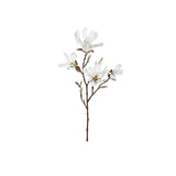 Magnolia snittblomma vit 50 cm