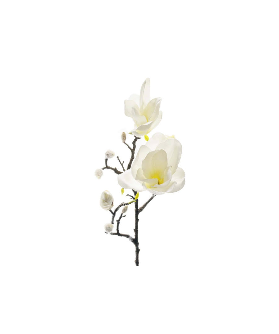 Magnolia snittblomma vit 60 cm