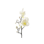 Magnolia snittblomma vit 60 cm