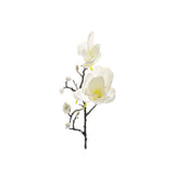 Magnolia snittblomma vit 60 cm