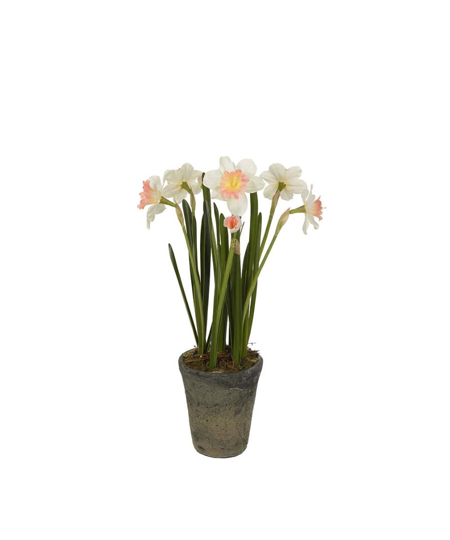 Narciss konstväxt gul/grön 55 cm