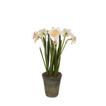 Narciss konstväxt gul/grön 55 cm