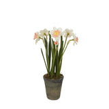 Narciss konstväxt gul/grön 55 cm