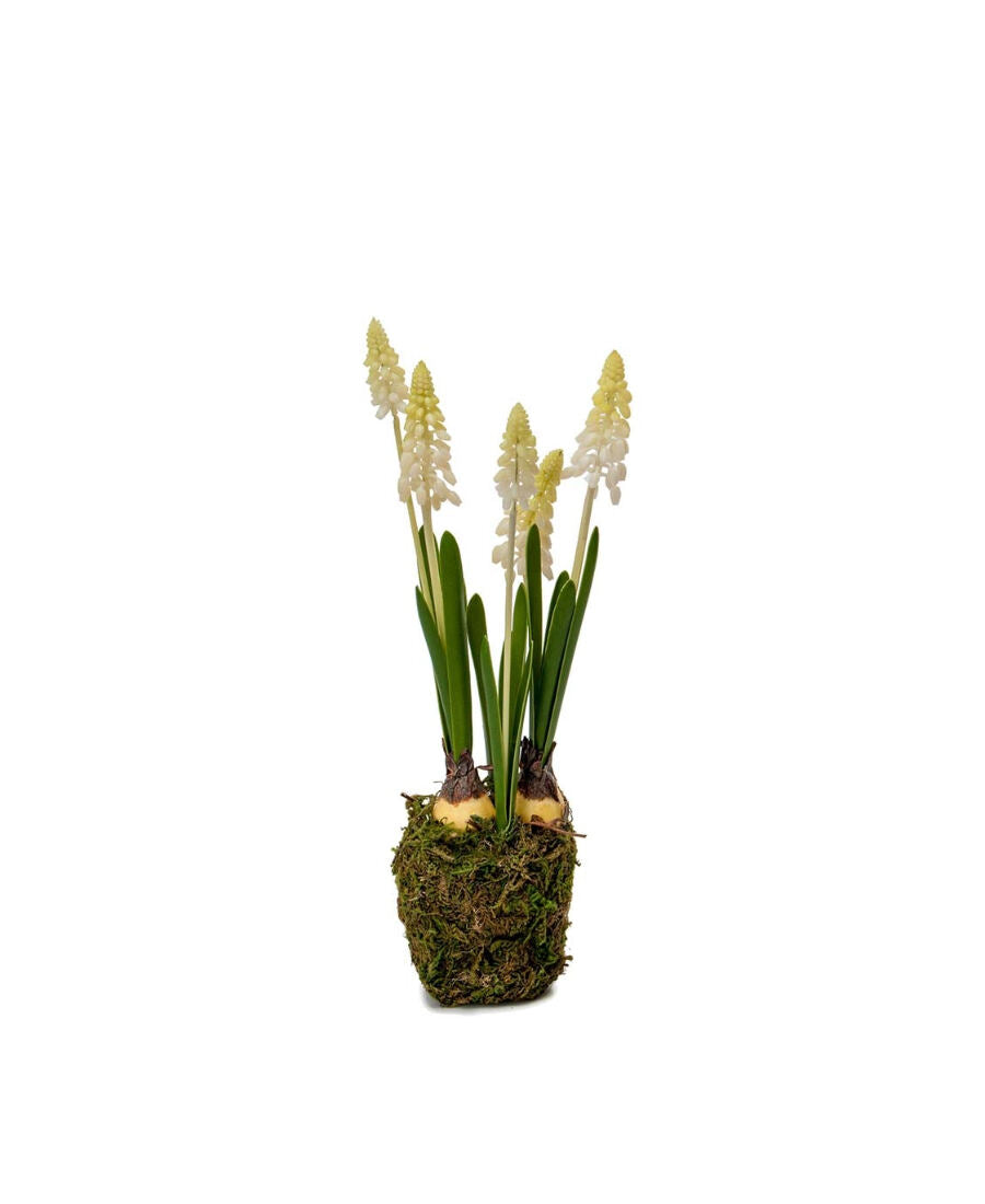 Pärlhyacint konstväxt vit 25 cm