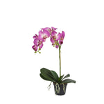 Phalaenopsis konstväxt lila 60 cm