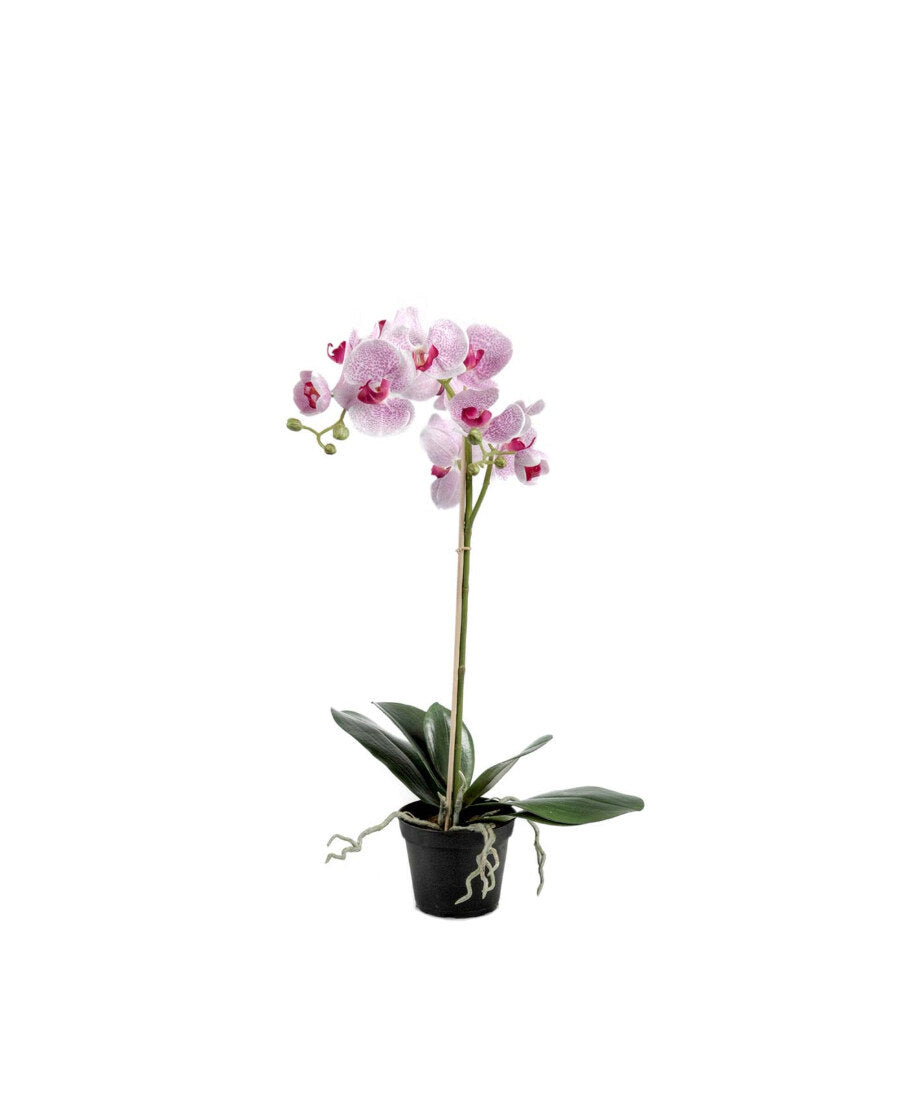 Phalaenopsis konstväxt ljuslila 60 cm