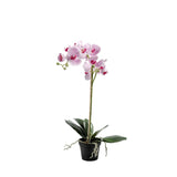 Phalaenopsis konstväxt ljuslila 60 cm