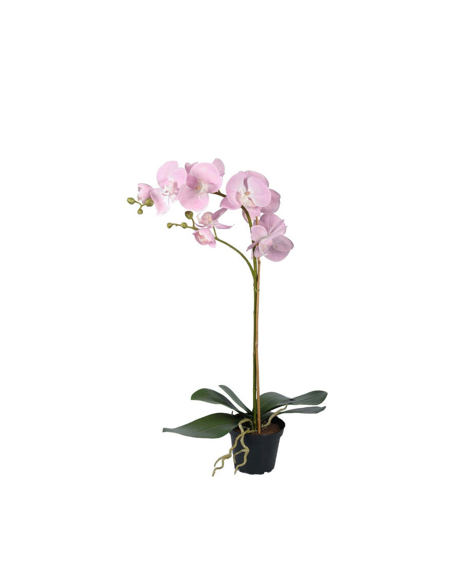 Phalaenopsis konstväxt rosa 60 cm