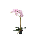 Phalaenopsis konstväxt rosa 60 cm