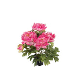 Pion konstväxt rosa 35 cm