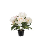 Pion konstväxt vit 35 cm
