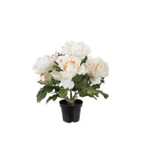 Pion konstväxt vit 35 cm