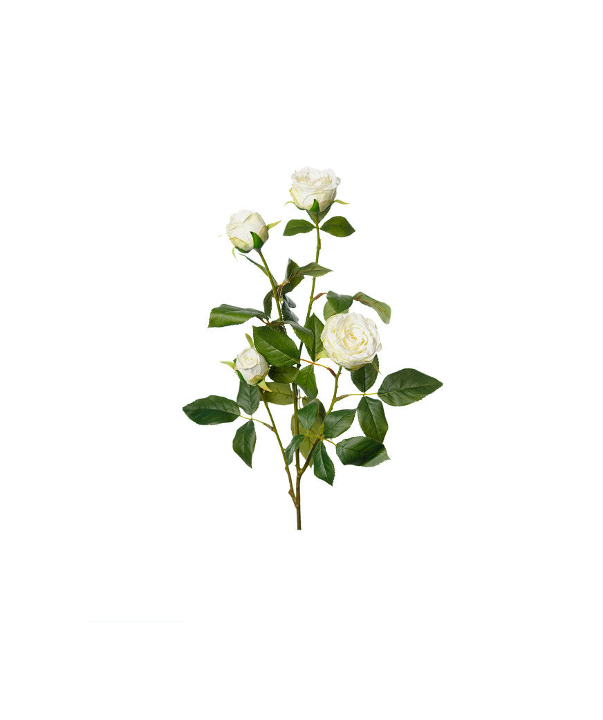 Ros snittblomma vit 60 cm