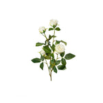 Ros snittblomma vit 60 cm