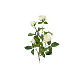 Ros snittblomma vit 60 cm