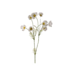 Rosenskära snittblomma vit 100 cm
