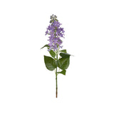 Syrén snittblomma blå