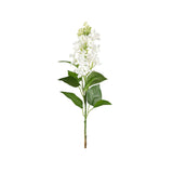 Syrén snittblomma vit