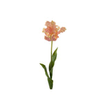 Tulpan snittblomma rosa 70 cm