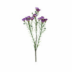 Vaxblomma snittblomma lila