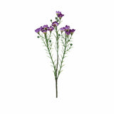 Vaxblomma snittblomma lila