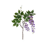 Visteria snittblomma lila