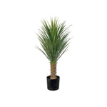 Yucca Rostrata konstträd grön 100 cm