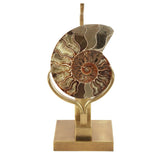 Ammonite bordslampa guld