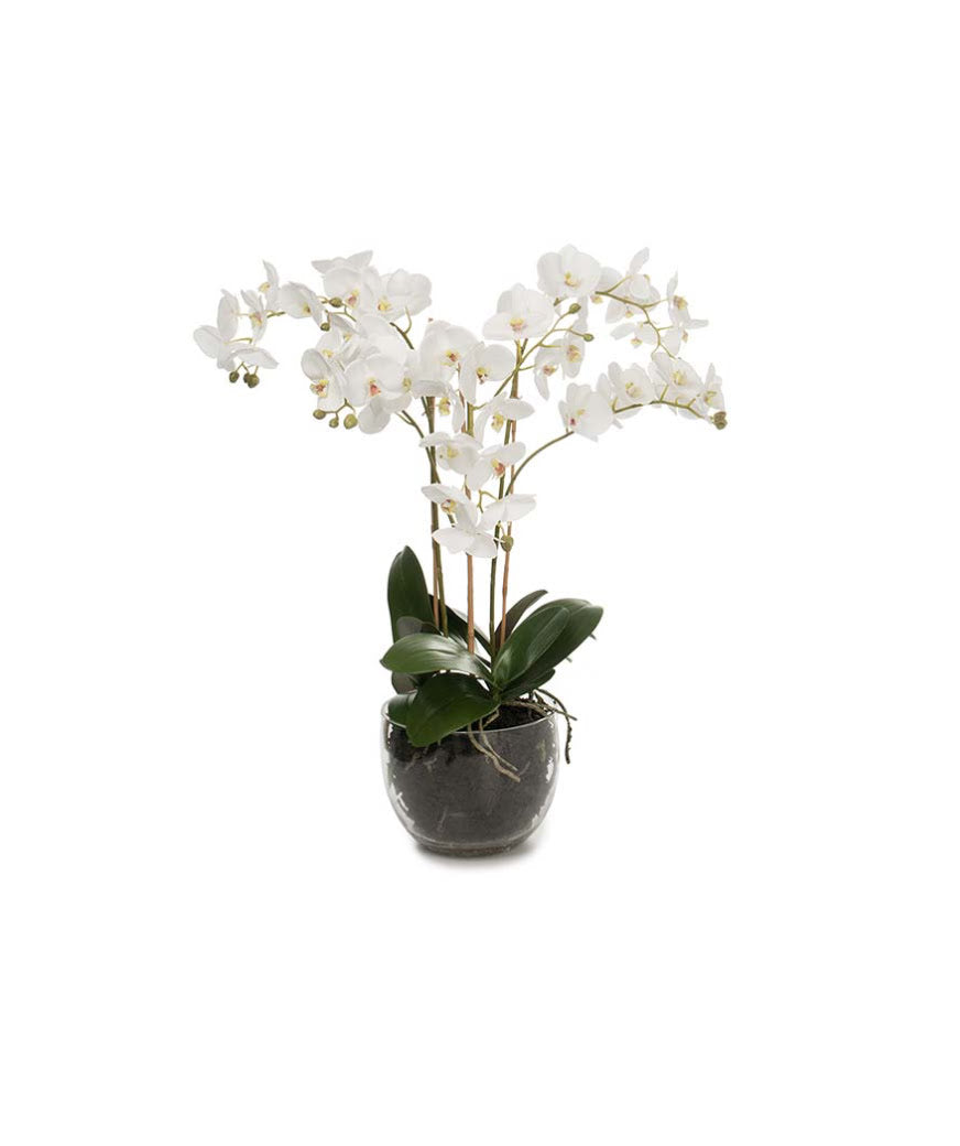 Phalaenopsis konstväxt vit M